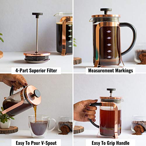 Upscale large(600ml) Coffee French Press Plunger Brewer Pot, 4 Part  Filtration, Metallic body, Borosilicate glass